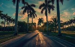 Картинка дорога, асфальт, 2k, отпуск, природа, пальмы, Флорида, вечер, зелень, аллея, 16:9, трава, закат, тепло, ИИ, лето, путешествие, Куба, Майами, путь, королевская пальма, золотой свет, 4k, HD, тени, шоссе, нейросеть, рассвет, Roystonea regia, пейзаж, небо