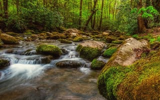 Картинка Great Smoky Mountains National Park, пейзаж, природа, камни, речка, деревья, лес, водопад, течение, ручей