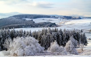 Картинка пейзаж, лес, Germany, дерево, сезон, тундра, зима, мороз, снег, лед, горы, поппенхаузен, Замораживание, погода