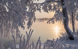Картинка Финляндия, зима, деревья, водоём