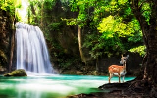 Картинка Канчанабури, каскад, водопад, Таиланд