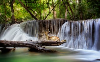 Картинка Канчанабури, водопад, деревья, Таиланд, каскад, природа, джунгли, река