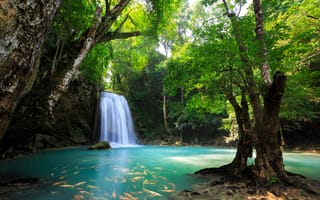 Обои Канчанабури, каскад, Таиланд, водопад