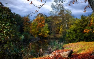 Картинка осень, деревья, пруд, водоём, пейзаж, природа, лес