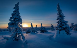 Картинка Зимняя природа Финляндии