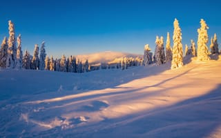 Картинка рабочий стол, пейзаж, облака, рассвет, вид, солнце