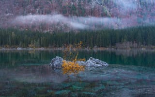 Картинка дерево, вода, мороз, сезон, дикая местность, туман, среда обитания, тундра, пруд, утро, отражение, поток, атмосферное явление, марш, озеро, лесной массив, болото, осень, река, водно-болотные угодья, лес, окружающая природа, природа