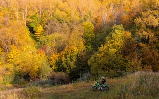 Картинка осень, пейзаж, мотоциклист, листья, жёлтые, природа