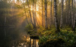 Картинка пейзаж, природа, 1920х1080, ландыши, рабочий стол, листва, ИИ, картина, мох, цветы, озеро, березы, солнце, умиротворение, уют, пруд, дымка, цифровой арт, весна, трава, реализм, гладь воды, HD, березовая роща, деревья, свет, река, отражение, туман, покой