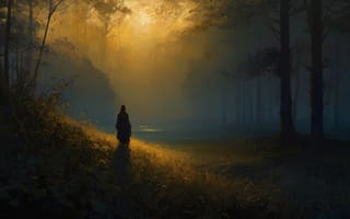 Картинка индивидуальные, длинные волосы, на открытом воздухе, природа, лес, плащ, дерево, подпись, стоя, трава, солнечный свет, пейзаж, сзади