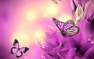 Картинка бабочки, лилии, цветы