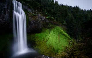 Картинка деревья, лес, поток, природа, тропический лес, атмосферное явление, водопад, Вассерфаль, вода, дикая местность, водоём, водная характеристика, холм, зелёный, мох