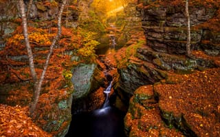 Обои Висконсин, осень, водопад