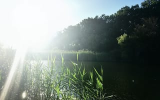 Картинка Природа, закат, лето, река