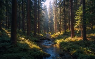 Картинка на открытом воздухе, день, трава, природа, без людей, солнечный свет, вода, пейзаж, бамбук, лес, рок, растение, дерево, река