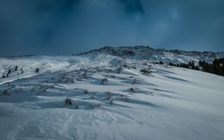 Картинка деревья, пейзаж, снег, горы, природа