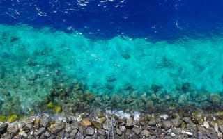 Картинка море, вода, биология, риф, океан, кораллы, коралловый риф, рыбы кораллового рифа, природа, подводный, биология моря