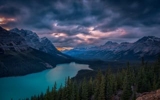 Обои Peyto Lake, Alberta, Banff National Park, лес, пейзаж, скалы, озеро, Озеро Пейто, Canada, Национальный Парк Банф, деревья, горы