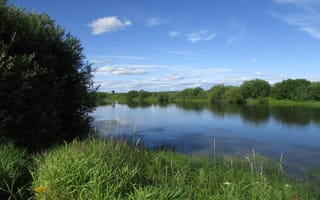 Картинка зелёная трава, облака, Сибирь, летний пруд, ясный день, природа