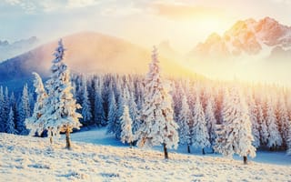 Картинка зима, деревья, горы