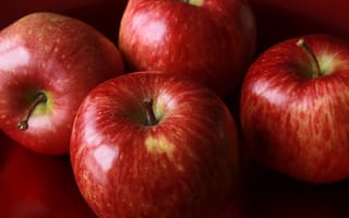 Картинка яблоко, растение, еда, sano, наземное растение, кухня, яблоки, продукт, есть, красный, съедобный, фрукты, цветущее растение, добра, нектарин, заказ роз, недоедание, ингредиент, розовая семья, диета, продукты питания