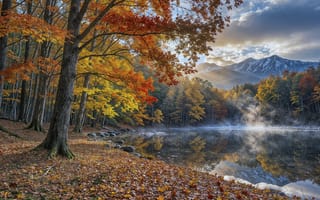 Картинка на открытом воздухе, небо, осень, без людей, лист, день, природа, пейзаж, осенние листья, облако, горы, дерево, солнечный свет, синее небо, облачное небо, лес