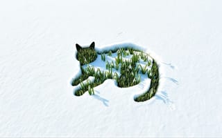 Картинка весна, кот, кошка, снег, контраст, растительность, художественная графика, арт, ИИ, 16:9, зима, минимализм, снежный покров, HD, художественная композиция, трава, природная гармония, зелёная трава, природа, композиция, 4k, зелень в снегу, символика, зимний пейзаж, искусство, ландшафтный дизайн, 2k, рабочий стол, креативный дизайн, пейзаж, 1920х1080, сюрреализм, снежный пейзаж, нейросеть, силуэт кота, креатив, эстетика, фантазия, форма кота