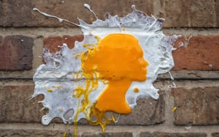 Картинка еда, без людей, яичный корм, на месте жизни, жареное яйцо, реалистичный, яйцо, продовольственная направленность