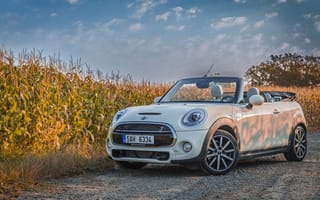 Картинка автомобиль, транспортное средство, мини-и, автомобильный дизайн, Мини, экстерьер автомобиля, марка автомобиля, наземный транспорт, Кабриолет, поле, компактный внедорожник, колесо, городской автомобиль, Мини Купер