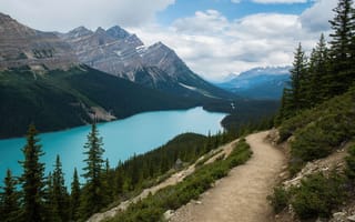 Картинка озеро, Канада, рабочий стол, хвойный лес, ледниковое озеро, горный маршрут, природа, канадские пейзажи, 4k, живописный ландшафт, Скалистые горы, панорамный вид, Пейто, тропа, горные вершины, кристальная вода, озёрная гладь, 2k, пейзаж, скалистая местность, туристическая тропа, Банф, нейросеть, 16:9, ИИ, дикая природа, бирюзовая вода, высокогорье, альпийская красота, долина, 1920х1080, лесной массив, природная гармония, национальный парк, горы, HD, хвойные деревья, бирюза