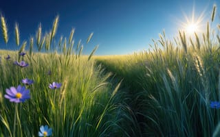 Картинка поле, пшеница, умиротворение, 1920 1080, пейзаж, природа, зелень, солнце, гармония, тропинка, 4k, голубое небо, трава, сельская идиллия, колосья, нейросеть, горизонт, ИИ, васильки, лето, свет, сельский пейзаж, 2k, цветы, лучи солнца