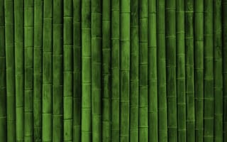 Картинка бамбук, текстура, 4k, бамбуковая стена, 1920 1080, 2k, интерьер, дизайн, спокойствие, геометрия, эстетика, зелёный, ИИ, нейросеть, растительный мотив, монохром, орнамент, стебли, природная текстура, стройные стебли, ритмичный узор, узор, природа, растительность, вертикаль, зелёный оттенок, минимализм, экостиль, монолитный