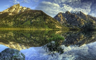 Картинка отражение, озеро Дженни, деревья