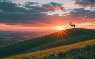 Картинка олень, закат, 2k, поле, силуэт, дикая природа, солнце, дикая фауна, нейросеть, природа, рассвет, облака, рога, ИИ, 4k, трава, красота, спокойствие, живописный вид, луг, 1920 1080, холм, горизонт, пейзаж, тёплые оттенки