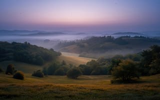 Картинка туман, долина, горы на горизонте, природная гармония, рабочий стол, сельская местность, туманная дымка, холмистая местность, живописный вид, свежесть утра, пастбище, 4k, 1920х1080, рассвет, пастельные тона, растительность, утренний свет, зелень, леса, утренняя дымка, холмы, мягкие оттенки, HD, 2k, атмосферный кадр, поля, 16:9, низины, природа, небо, ИИ, сельские просторы, утренний пейзаж, нейросеть, спокойствие, пейзаж, умиротворение