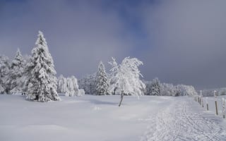 Обои зима, снег, пейзаж, дорога, деревья, сугробы