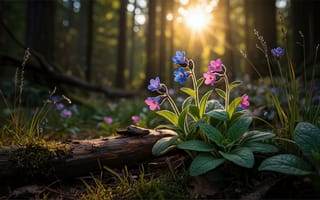 Картинка лес, солнце, утренний свет, рабочий стол, естественная красота, яркость, лесной подлесок, дикорастущие растения, бревно, 4k, ИИ, цветение, лесной свет, трава, листья, контраст, цветы, флора, ботаника, светотень, умиротворение, 2k, растительность, стебли, медуница, мох, нейросеть, природа, экосистема, спокойствие, HD, лесной пейзаж, дикие цветы, 16:9, рассвет, лучи солнца, 1920х1080, зелень