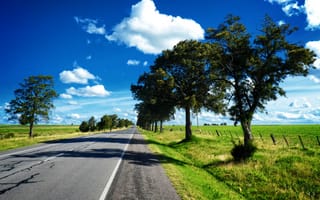 Картинка простой, облако, луг, экосистема, поле, сельская местность, небо, растение, дерево, природа, трава, Уругвай, пастбище, древесное растение, пейзаж, дорога, Саванна, степь, фотограф, холм, горизонт, Маршрут 66