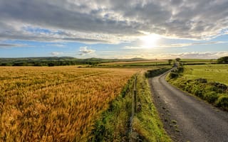 Картинка Инишовен, поле, Ирландия, Донегал, пейзаж, дорога