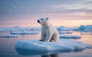 Картинка белый медведь, Арктика, природа Севера, полярник, звёздное небо, дикая природа Арктики, величественность, снежный пейзаж, океан, холод, нейросеть, ледяные глыбы, рабочий стол, животное, дикая природа, одиночество, звёзды, северное сияние, суровая красота, закатное небо, 2k, природа, северная природа, 1920 1080, ледяной пейзаж, 16:9, полярные просторы, арктическая фауна, 4k, север, ночное небо, хищник, HD, льдина, ИИ, спокойствие, арктический пейзаж