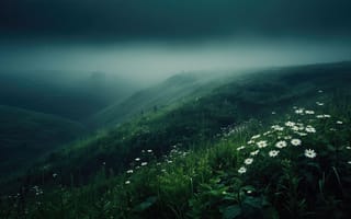 Картинка туман, пейзаж, трава, спокойствие, 16:9, 1920 1080, 4k, горный ландшафт, рассвет, долина, цветы, холмы, влажность, туманная дымка, зелёный пейзаж, ИИ, свежесть, утренний туман, сельская местность, ромашки, рабочий стол, зелень, природа, 2k, эстетика природы, ландшафт, полевые цветы, нейросеть, дикая природа, ботаника, растительность, HD, умиротворение, естественная красота