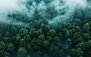Картинка пейзаж, природа, дымка, бор, мост, облака, деревья, заставка, река, 2k, камни, ручей, фоновой, фоны, широкоформатный, 32:9, рендеринг, зелень, рабочий-стол, рассвет, утро, бесшовный-фон, 4k, горы, замок, вид-сверху, нейросеть, кинематографично, туман