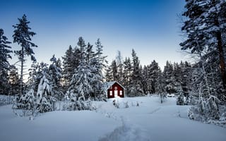 Картинка зима, снег, сугробы, лес
