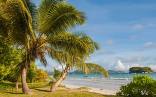 Картинка Пляж Анс-Вольберт, море, Праслин, пальмы, пейзаж, тропики, Сейшельские острова