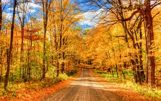 Картинка осень, дорога, лес, парк