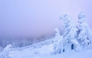 Картинка Чахлэу, горы, Румыния, зима