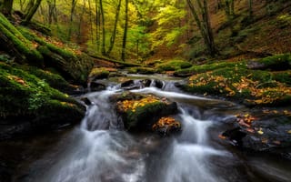 Картинка осень, лес, водопад, река