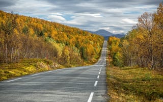 Картинка Senja, осень, дорога, Norway
