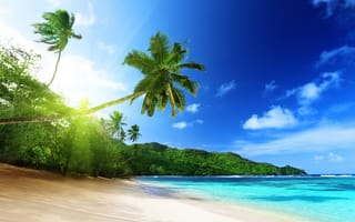 Картинка пляж, пальмы, солнце