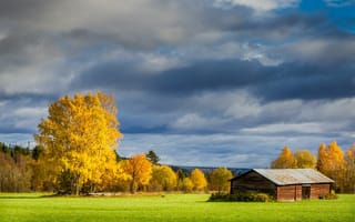 Картинка осень, поле, деревья, дом